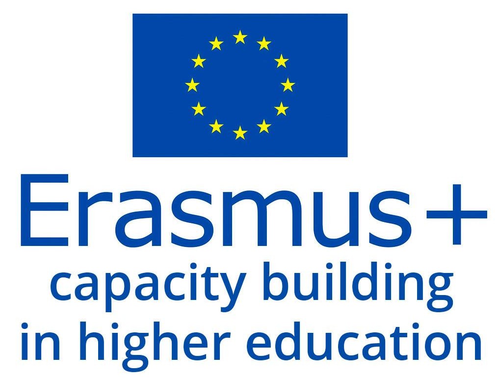 capacity_building_in_higher_education.jpg